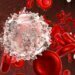 Karyopharm Therapeutics charges blood cancer remedy after FDA approval