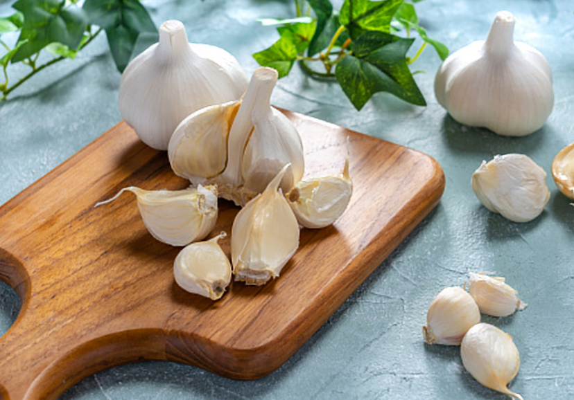 Garlic
